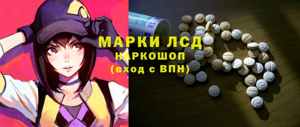 стаф Елабуга