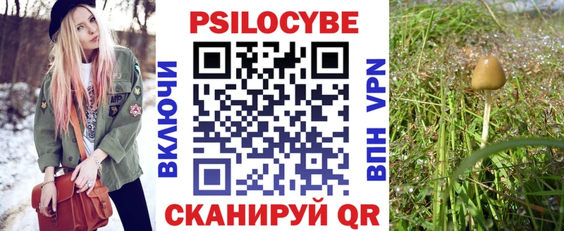 где найти наркотики  Монино  Галлюциногенные грибы Psilocybe 